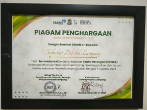 PIAGAM PENGHARGAAN KETUA TIM KERJA PIMBINAAN REMAJA BKKBN